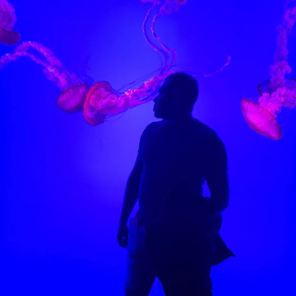 Meet your Posher, Humayun - Picture 1 of 1